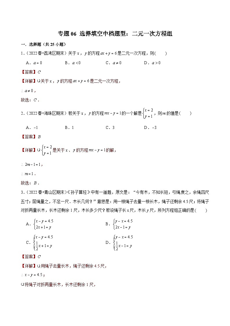 （人教版）数学七年级下册期末复习专题06 选择填空中档题型：二元一次方程组（解析版）第1页