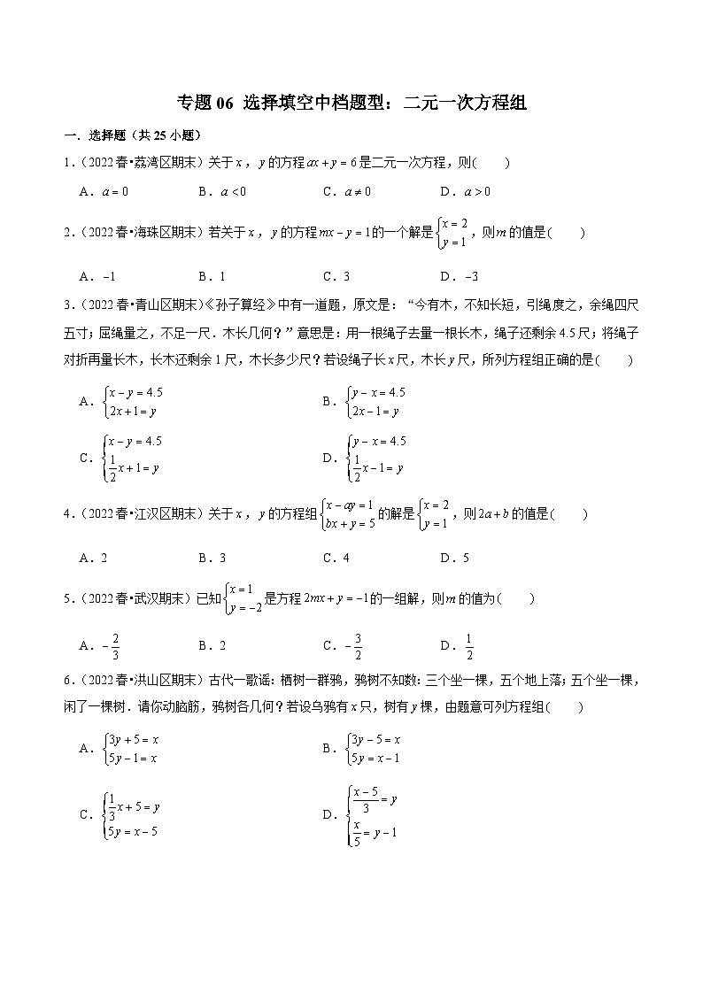（人教版）数学七年级下册期末复习专题06 选择填空中档题型：二元一次方程组（原卷版）第1页