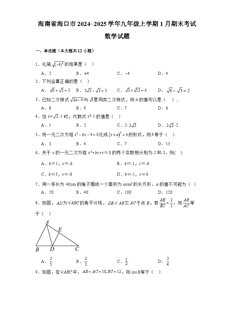 海南省海口市2024-2025学年九年级上学期1月期末考试 数学试题（含解析）第1页