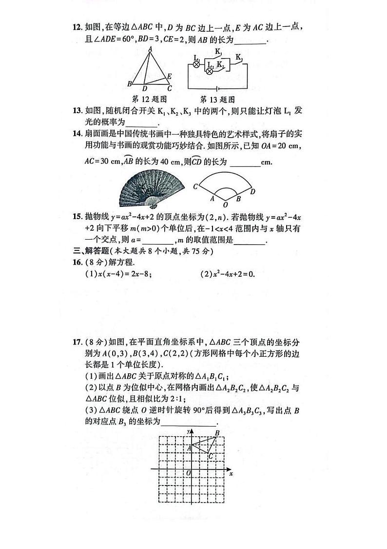 河南省漯河市召陵区2024-2025学年九年级上学期1月期末 数学试题（PDF版）第3页