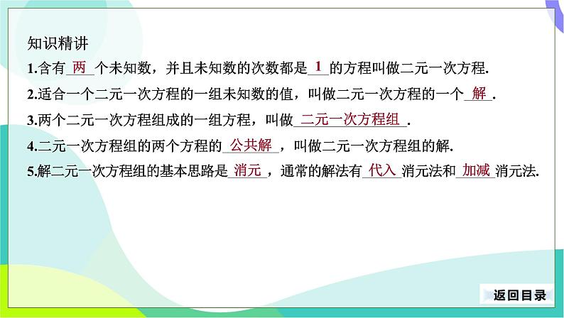 人教版数学中考第一轮复习 08-第三单元 方程与方程组-3.2 二元一次方程组 PPT课件第4页