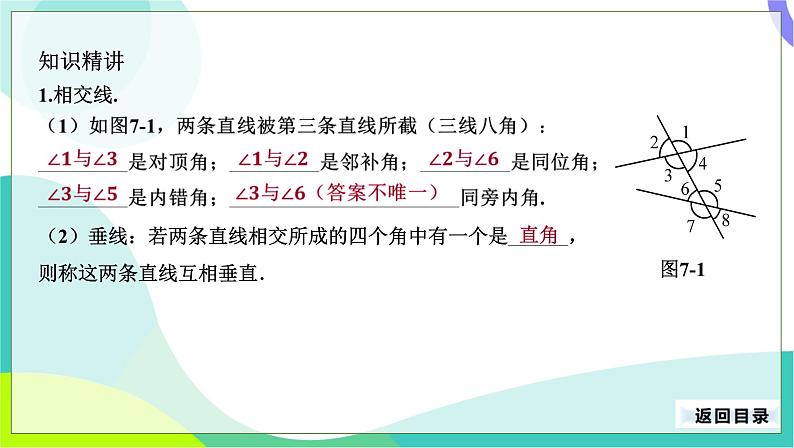 人教版数学中考第一轮复习 19-第七单元 相交线与平行线 PPT课件第4页