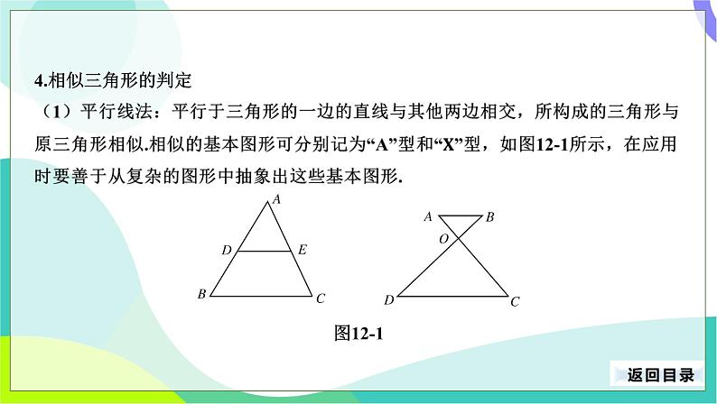 人教版数学中考第一轮复习 29-第十二单元 图形的相似 PPT课件第7页