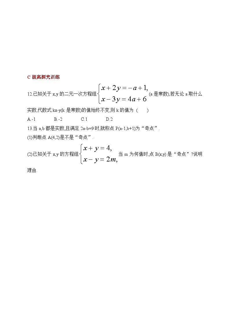 人教版数学七年级下册10.2.2加减消元法同步练习(含答案)第3页