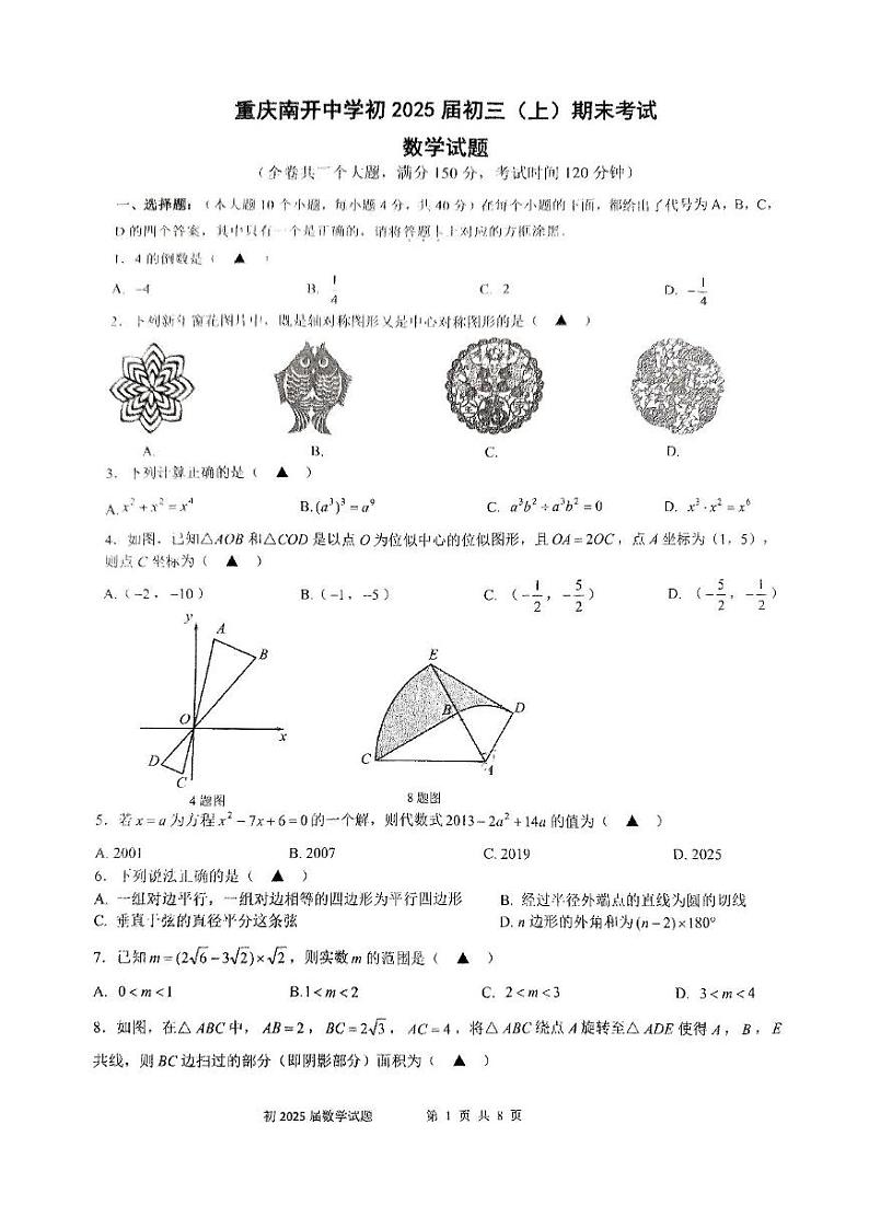 重庆市南开中学校2024-2025学年九年级上学期期末考试数学试题第1页