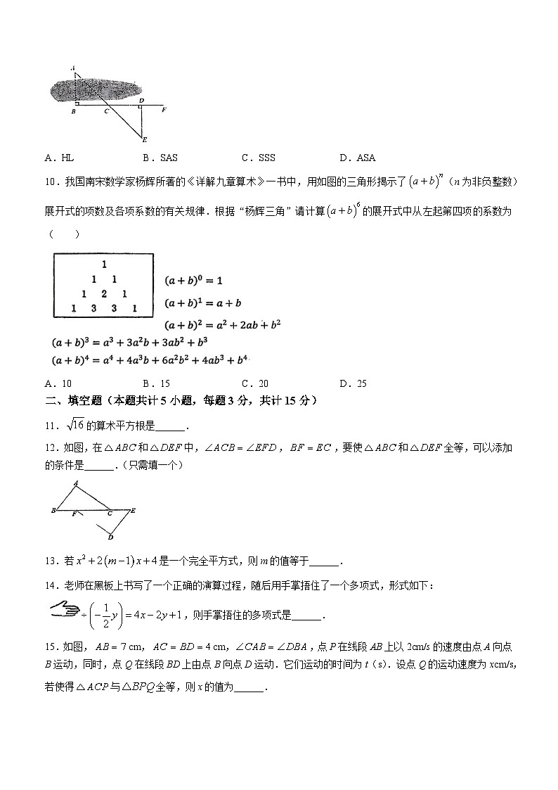 河南省鹤壁市浚县部分校联考2023-2024学年八年级上学期期中考试数学试卷(含答案)第2页