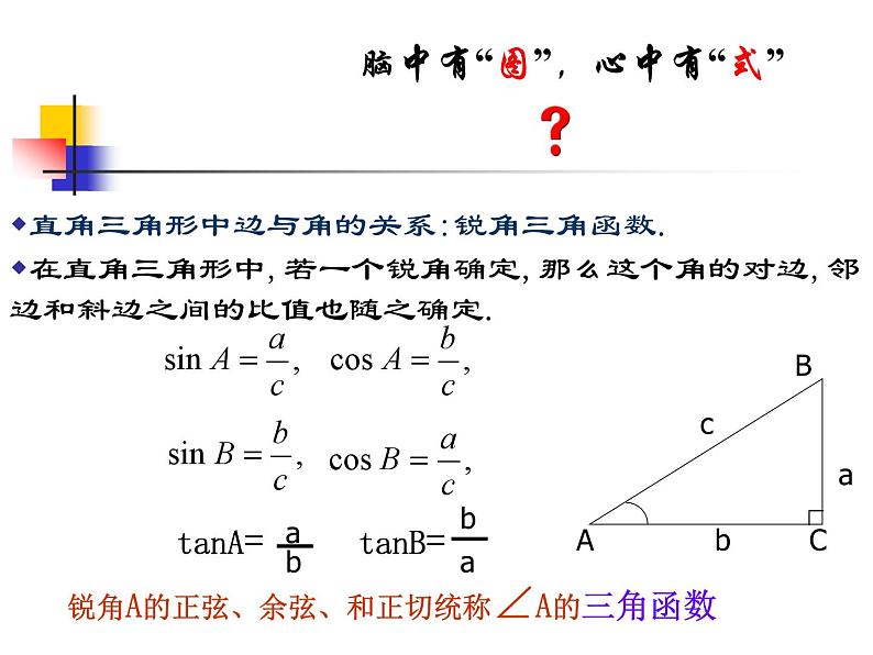 1.1 锐角三角函数 浙教版数学九年级下册课件第2页