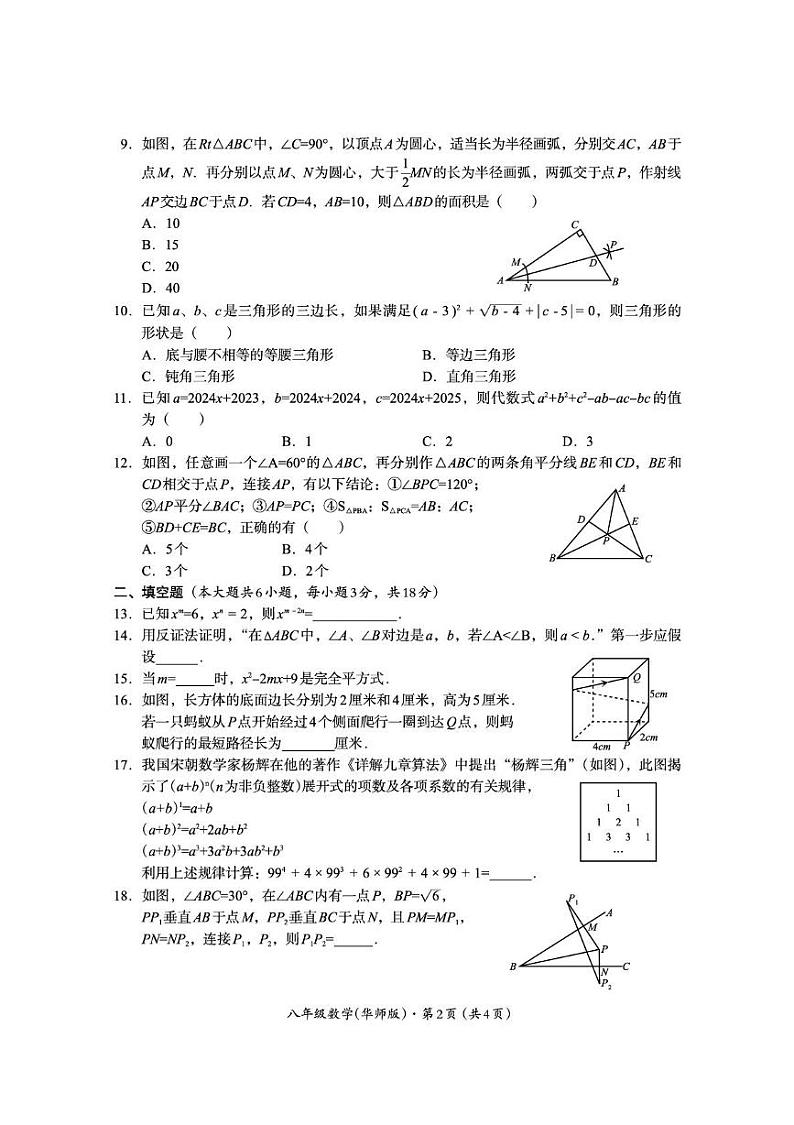 四川省巴中市2024-2025学年八年级上学期期末检测数学试题 第2页