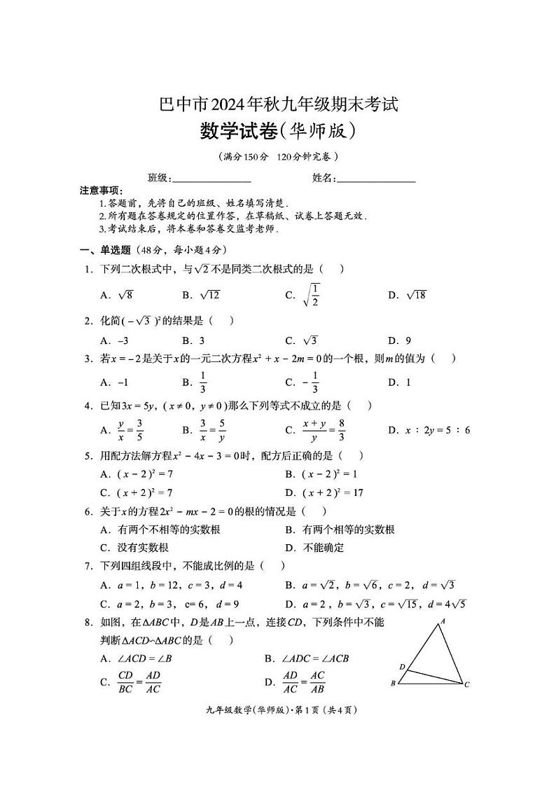 四川省巴中市2024-2025学年九年级上学期期末检测数学试题（华东师大版）第1页