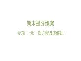 期末提分练案-专项 一元一次方程课件 2024-2025学年华东师大版数学七年级下册