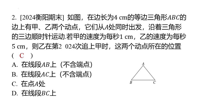 期末提分练案-专项 一元一次方程的应用 课件2024-2025学年华东师大版数学七年级下册第3页