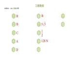期末提分练案-专题 解直角三角形 课件2024-2025学年北师大版数学九年级下册