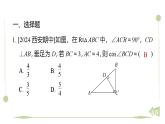 期末提分练案-专题 解直角三角形 课件2024-2025学年北师大版数学九年级下册