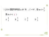 期末提分练案-专题 解直角三角形 课件2024-2025学年北师大版数学九年级下册