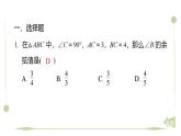 期末提分练案-专题 锐角三角函数的计算课件 2024-2025学年北师大版数学九年级下册