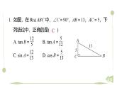 期末提分练案-专题 三角函数值求解的几种类型课件 2024-2025学年北师大版数学九年级下册