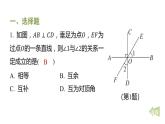 期末提分练案 专题 相交线与平行线 课件 2024-2025学年北师大版七年级数学下册