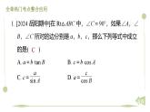 第一章 直角三角形的边角关系 期末提分课件 2024-2025学年北师大版数学九年级下册