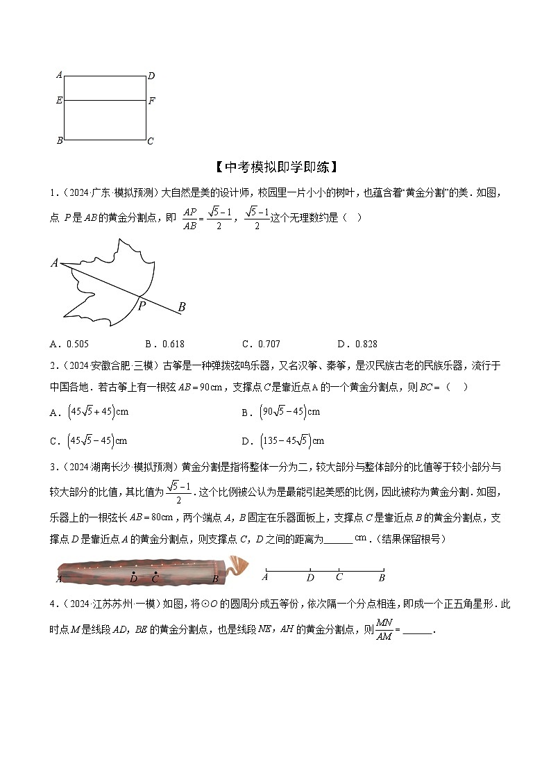 难点10 相似三角形的常考题型（9大热考题型）（原卷版）-2025年中考数学一轮复习知识清单（全国通用）第3页