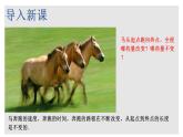 5.1 常量與變量 浙教版八年級數(shù)學(xué)上冊課件