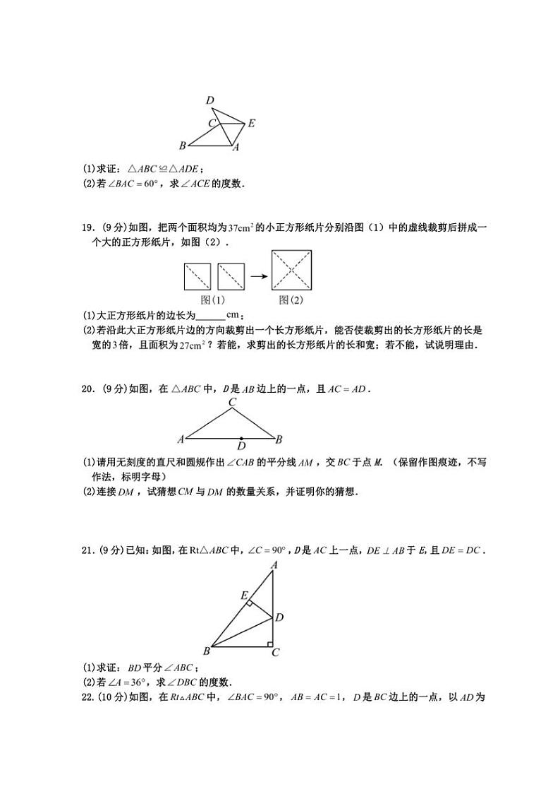 2024～2025学年河南省周口市沈丘县八年级上期末考试数学试卷(含答案)第3页