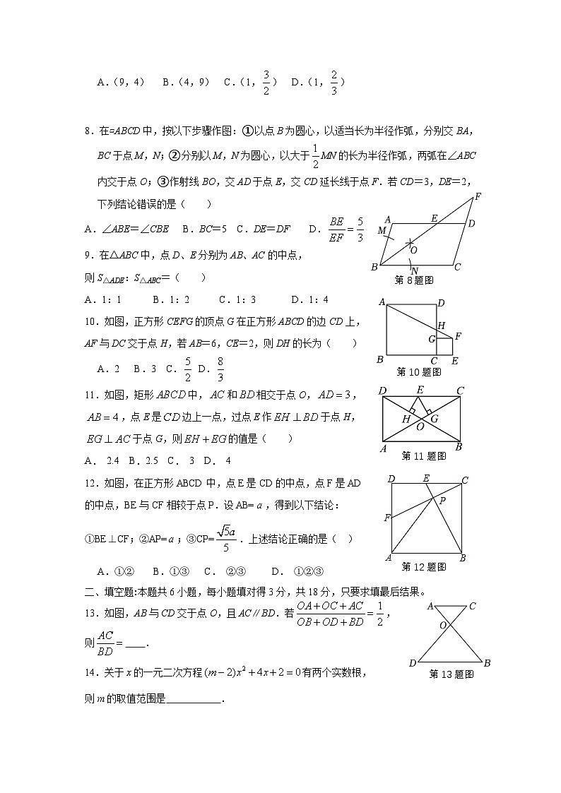 山东省枣庄市台儿庄区2025届九年级上学期11月期中考试数学试卷(含答案)第2页