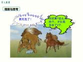 6.1  二元一次方程組和它的解-2025春華師大版數(shù)學(xué)七年級(jí)下冊(cè)--精品課件