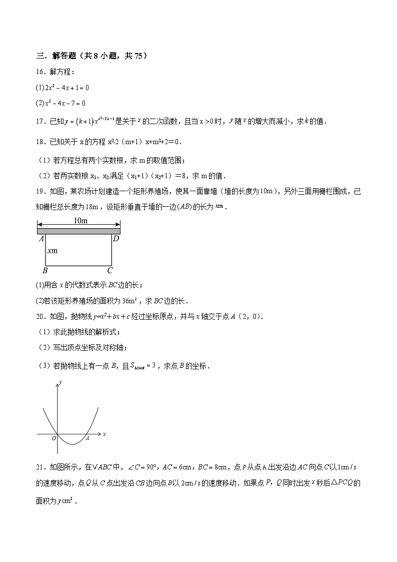 湖北省恩施市五校2025届九年级上学期期中联考数学试卷(含解析)第3页