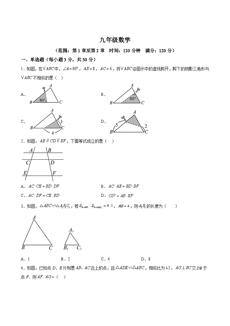 山东省菏泽市单县2025届九年级上学期第一次月考数学试卷(含解析)第1页
