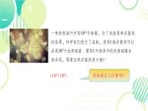 1.1.1 同底數(shù)冪的除法(22頁(yè)) 初中北師大版七年級(jí)下冊(cè)課件