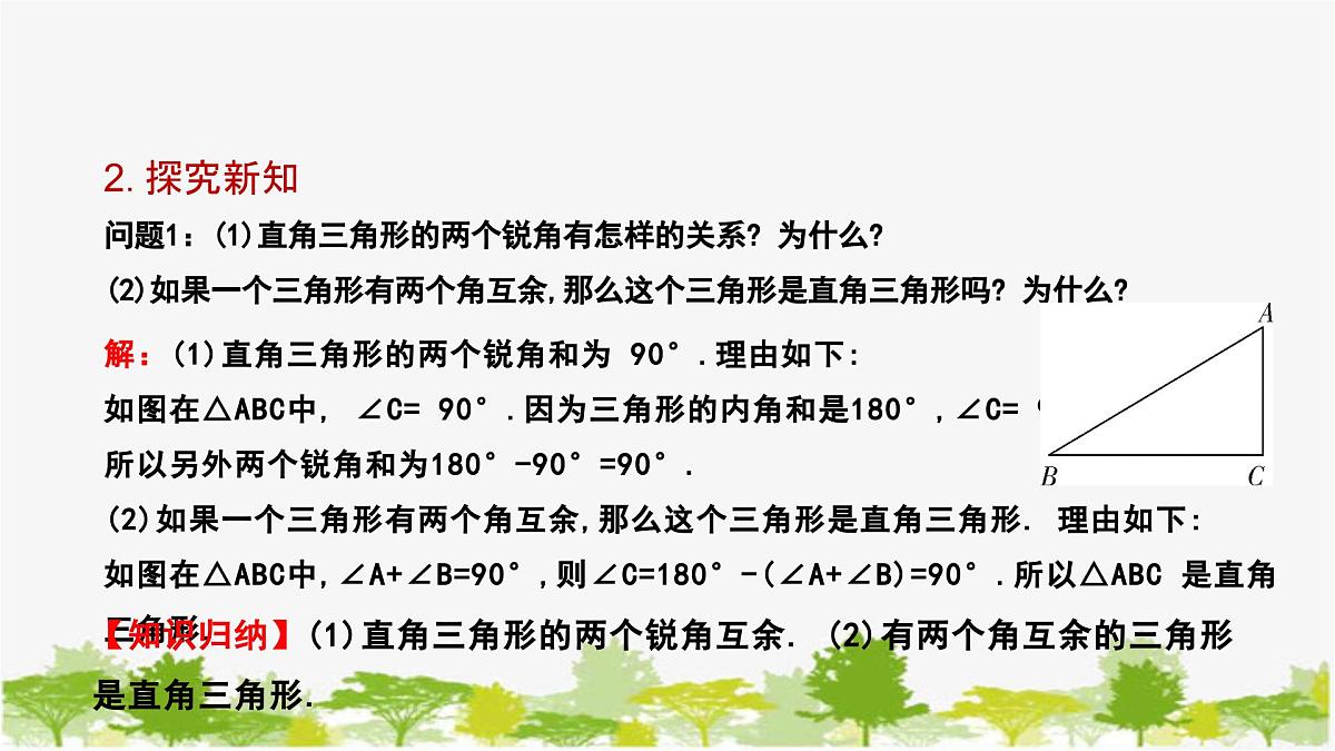 1.2.1 直角三角形的性质与判定 北师大版数学八年级下册课件第5页