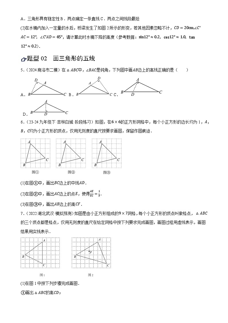 第16讲 三角形的概念和性质(练习)(原卷版)第3页