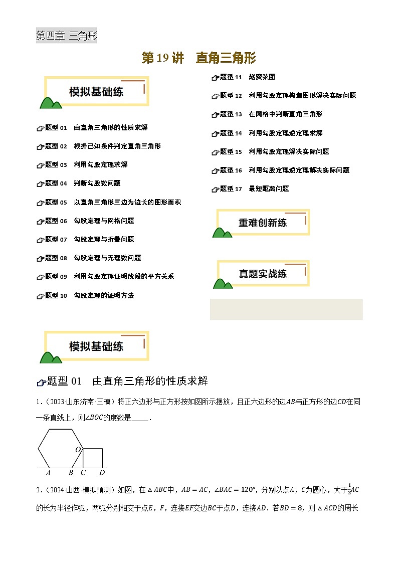 第19讲 直角三角形(练习)(原卷版)第1页
