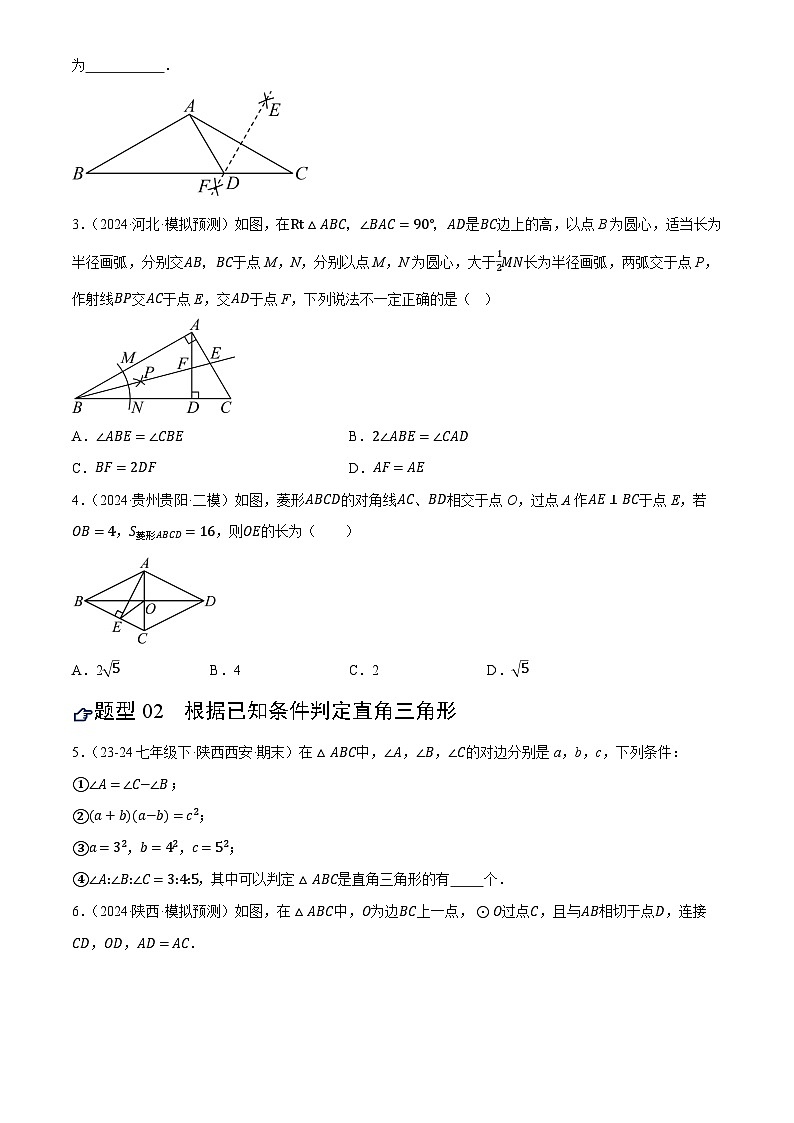 第19讲 直角三角形(练习)(原卷版)第2页