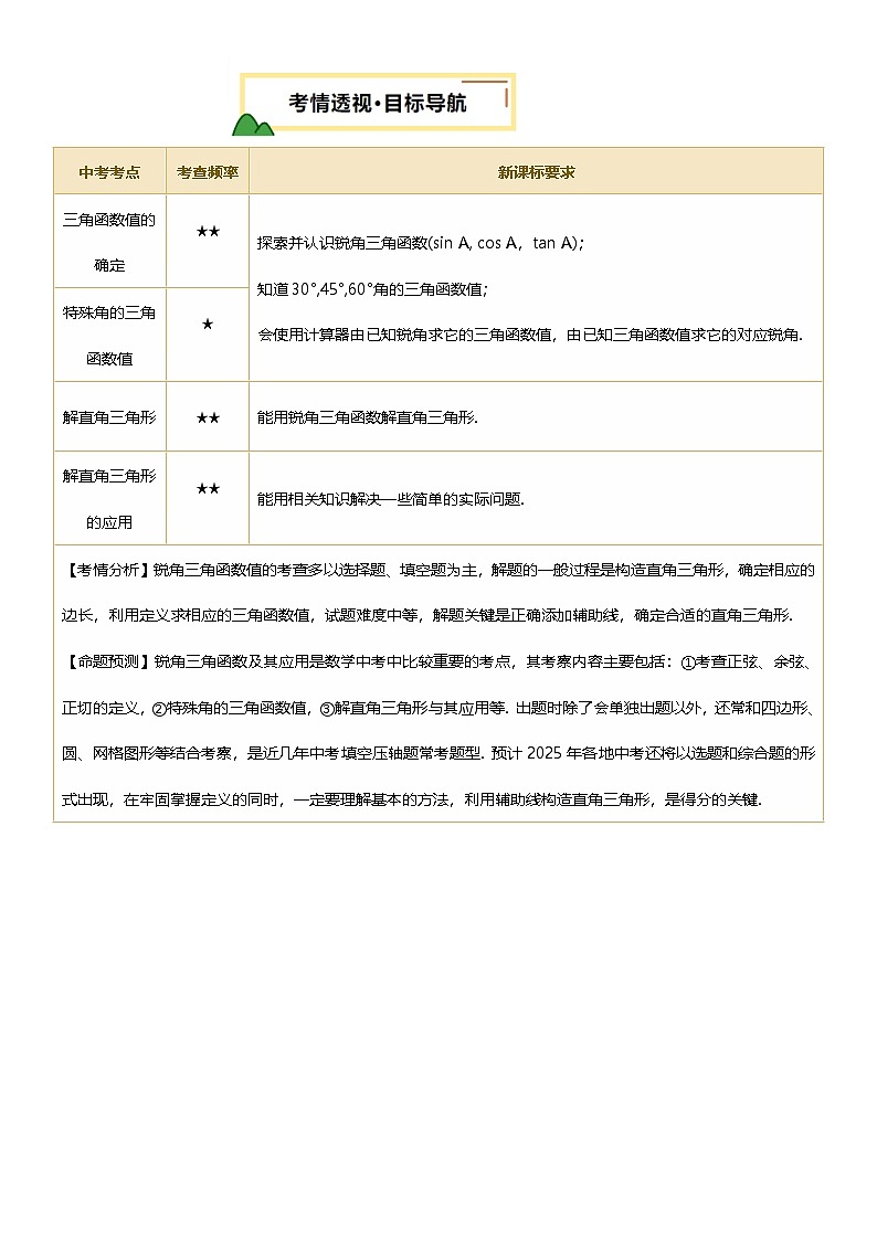 第22讲 锐角三角函数及其应用(讲义，3考点+2命题点20种题型(含5种解题技巧))(原卷版)第2页