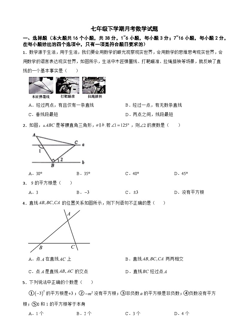 河北省石家庄2025年七年级下学期月考数学试题含答案第1页