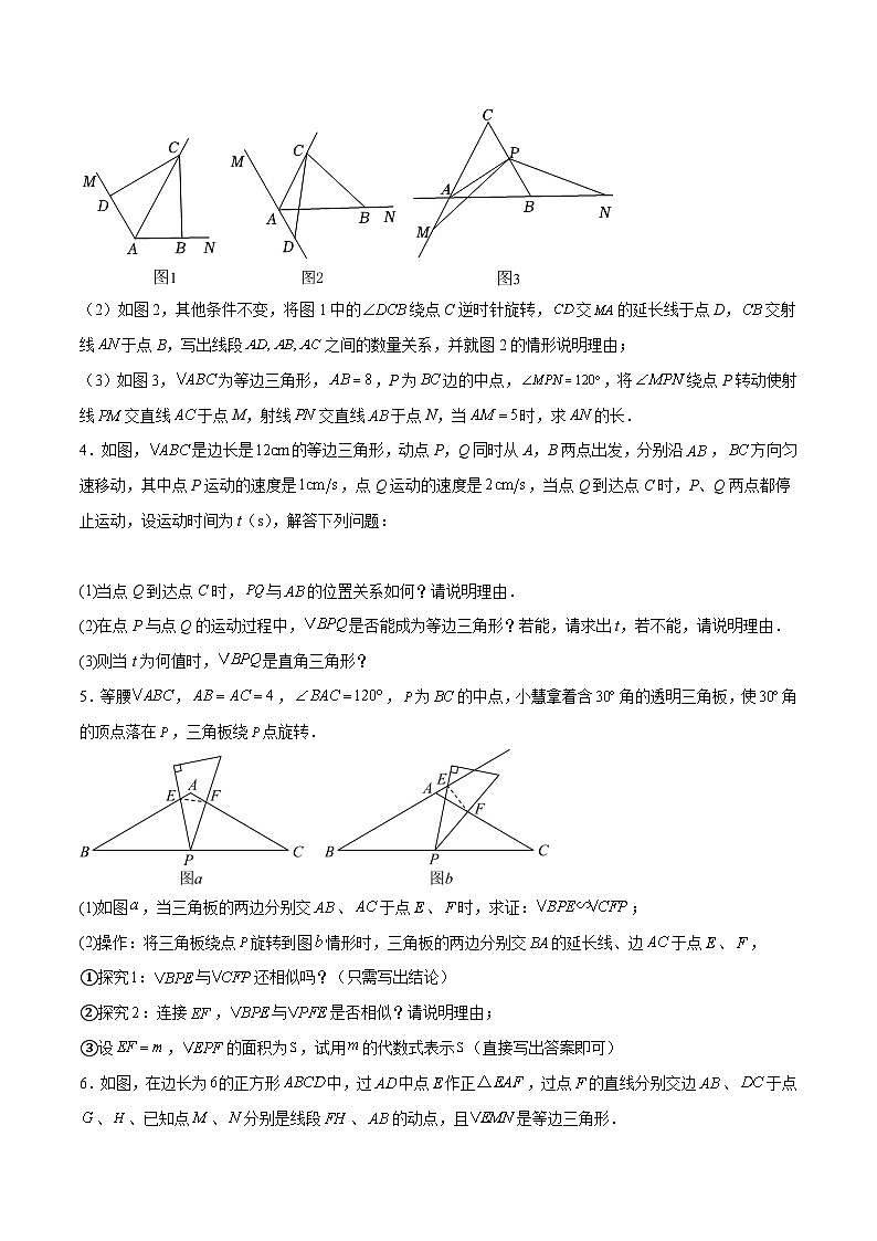 中考数学难点突破与经典模型精讲练(全国通用)专题46以几何为背景的直角三角形的存在性问题(原卷版+解析)第2页
