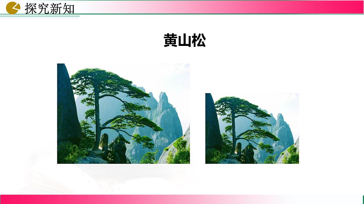27.1 图形的相似课件2024-2025学年人教版九年级数学下册第6页
