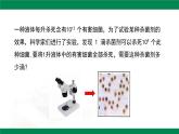 8.3同底數(shù)冪的除法課件 2024-2025學年冀教版數(shù)學七年級下冊