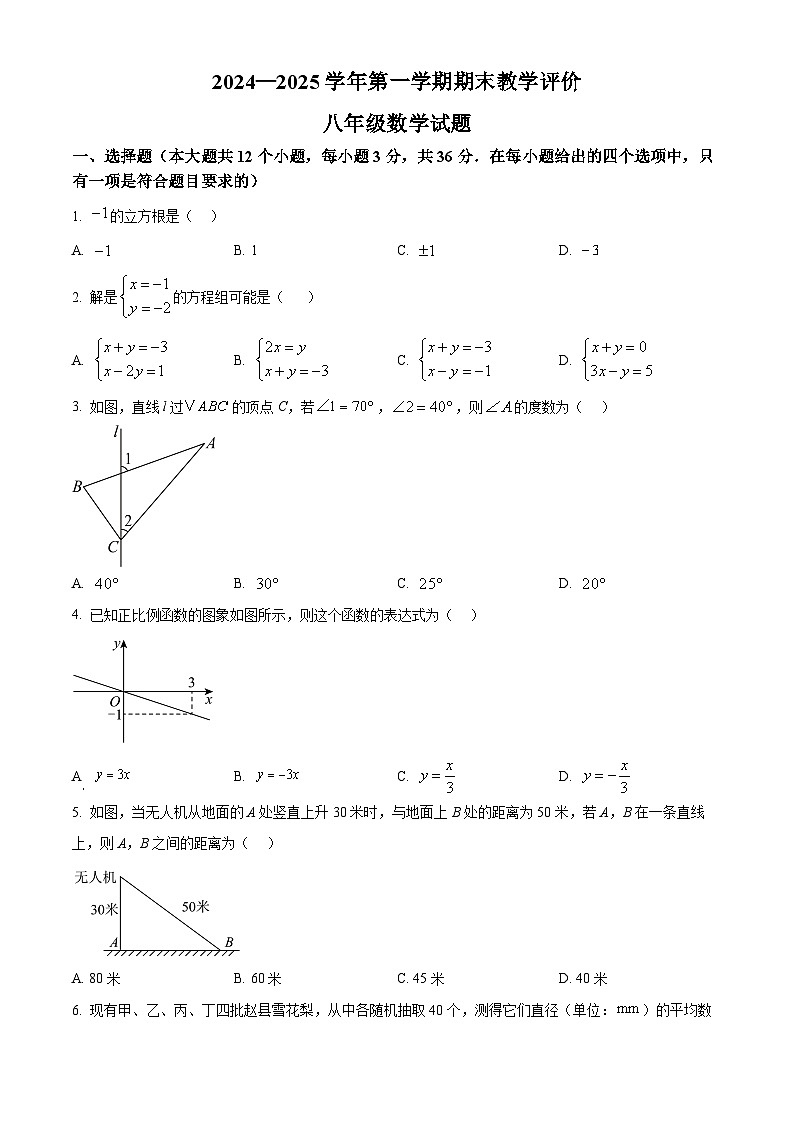 河北省保定市莲池区2024-2025学年八年级上学期1月期末数学试题（原卷版）第1页
