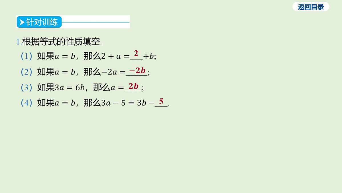 一次方程（组）及其应用课件 2025年中考数学一轮专题复习第4页
