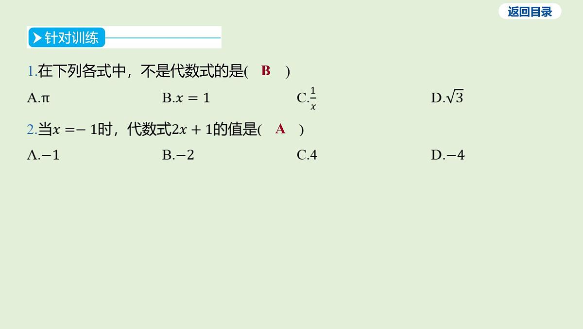 整式课件 2025年中考数学一轮专题复习第5页
