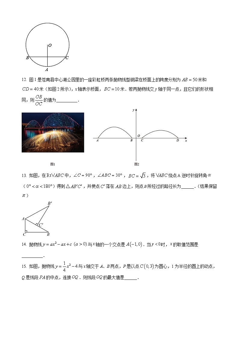 九年级上学期期末数学试题 (118)第3页