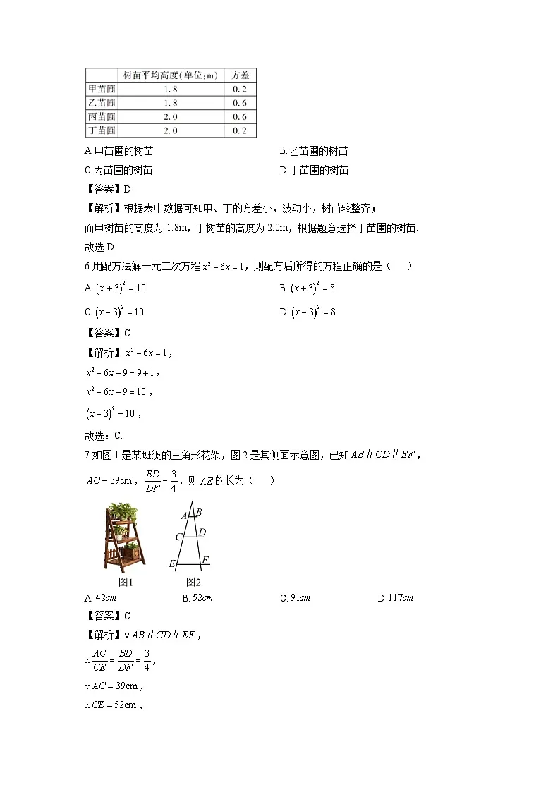 广西壮族自治区桂林市2024-2025学年九年级上学期期末考试数学试卷（解析版）第2页