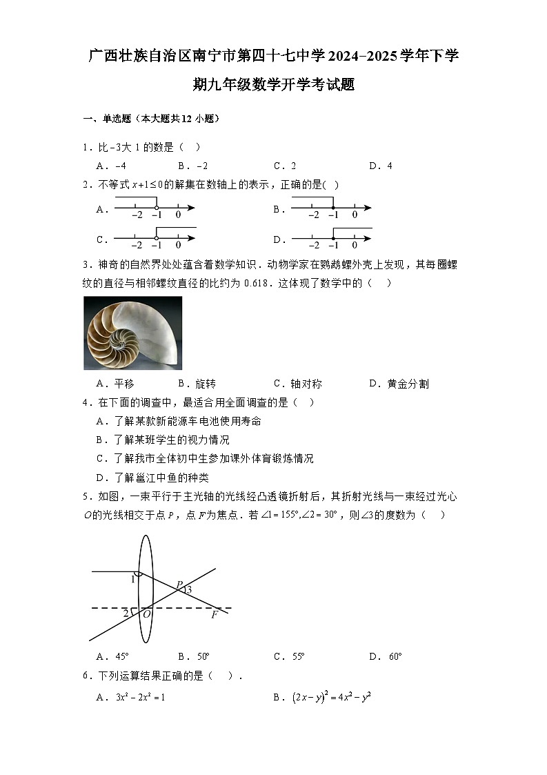 广西壮族自治区南宁市第四十七中学2024-2025学年下学期九年级 数学开学考试题（含解析）第1页