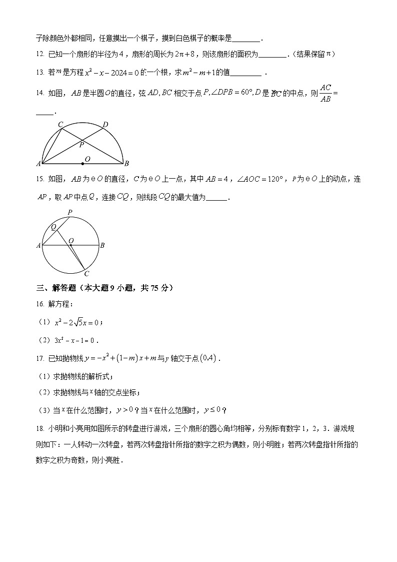 湖北省荆州市沙市区2024-2025学年九年级上学期期末考试数学试卷（原卷版+解析版）第3页