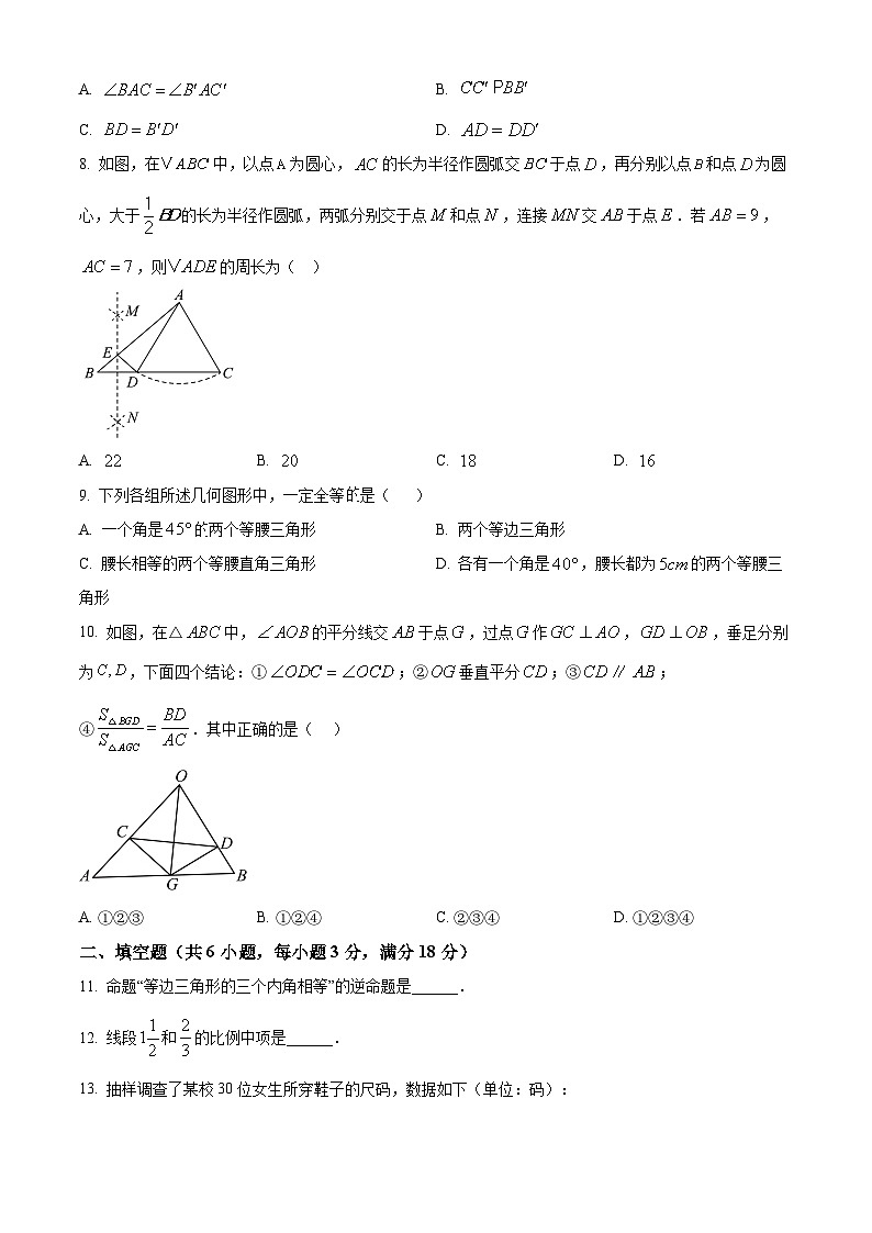 山东省聊城市冠县2024-2025学年八年级上学期1月期末数学试题（原卷版+解析版）第3页