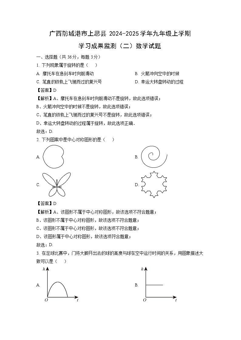 2024~2025学年广西防城港市上思县九年级上学期学习成果监测期末（二）数学试卷（解析版）第1页