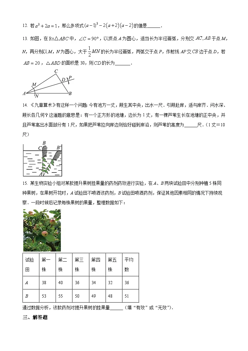 河南省南阳市内乡县2024-2025学年八年级上学期1月期末数学试题（原卷版+解析版）第3页