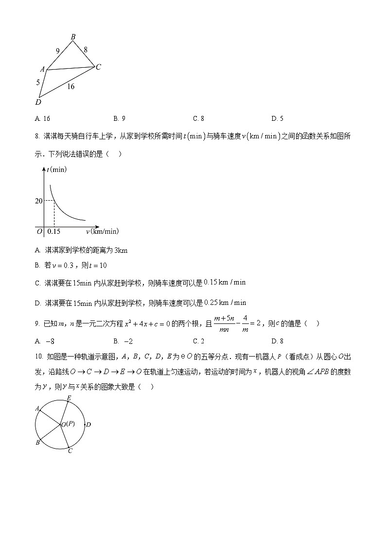 甘肃省陇南市礼县2024—2025学年下学期九年级开学摸底考试数学试题（原卷版+解析版）第3页